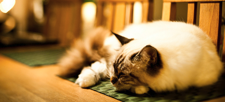 Photo Editing on Your Laptop.jpg