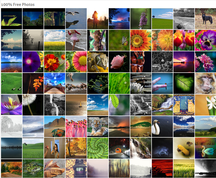 photodropper gallery